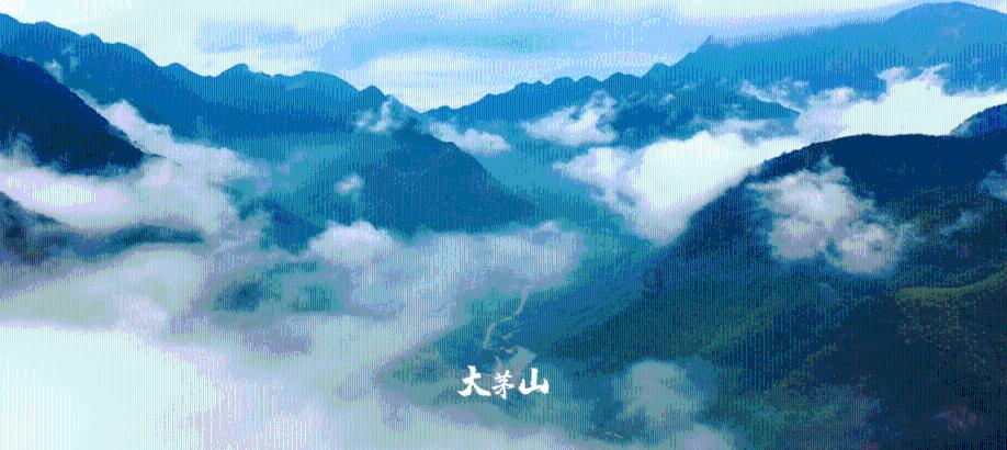 《你也有今天》成瑶被梁依然虐惨，钱恒怒斥绿茶别动我的女人